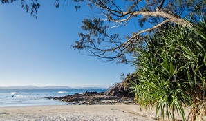 The Pass in Walgun Cape Byron Conservation Area. Photo: John Spencer © DPIE