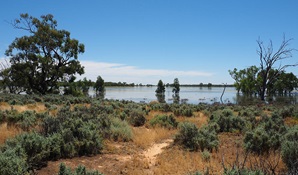 Ita Lake surrounded by grass and shrubs in Kalyarr National Park, the traditional lands of the Nari Nari Aboriginal people. Credit: Jess Murphy © DCCEEW