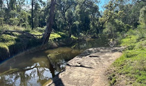 Rock Shelf Berrygil Creek in Terry Hie Aboriginal Area, part of the Terry Hie Hie joint management program. redit: DCCEEW © DCCEEW