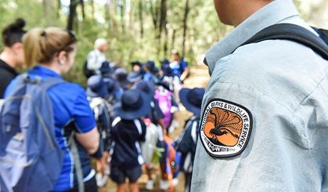 A close up of an NPWS guide's badge with a group of students in the background. Photo: Adam Hollingworth © DPIE