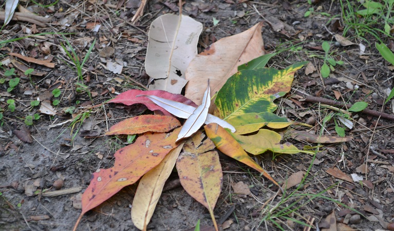 WildThings primary school science excursion. Photo: Julie Brown/OEH