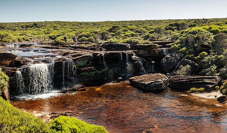 Heathlands environment, Eagle Rock, Royal National Park. Photo: David Finnegan