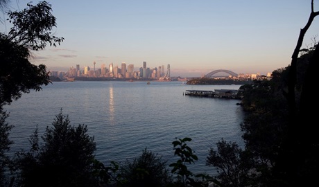 Views of Sydney Harbour and the city skyline on a Harbour Trax tour. Photo: Shaun Mittwollen © Harbour Trax