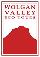 Wolgan Valley Eco Tours logo. Photo © Wolgan Valley Eco Tours