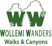 Wollemi Wanders logo. Photo © Wollemi Wanders
