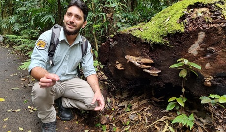 Ranger Matt crouching beside a log to show the fungi growing on it, Dorrigo National Park. Photo: Jane Grebert. © DPE