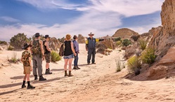 Visitors enjoy a guided tour of the lunette-like landscape in Mungo National Park. Credit: Aaron Davenport/DCCEEW © Aaron Davenport