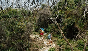 Two walkers carrying overnight hiking packs walking up steps on the Murramarang multi-day coastal walk. Credit: Remy Brand © DPE