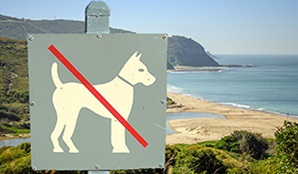 Sign prohibiting dogs set against a sweeping coastal vista of beaches and headlands. Image credit: John Spencer © DPIE