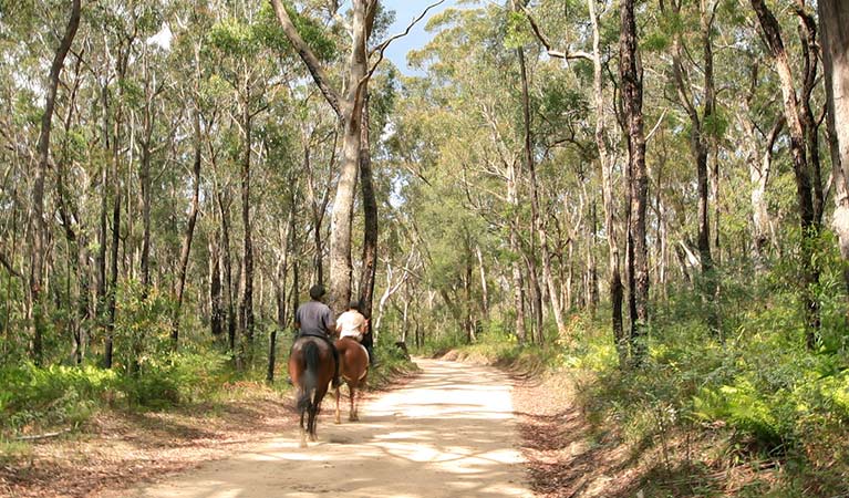 Horse riders Thirlmere Lakes National Park dirt road to Lake Werri Berri. Photo credit: Rosie Nicolai © Rosie Nicolai