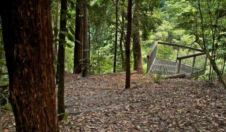 Jerusalem Creek trail, Barrington Tops National Park. Photo: John Spencer