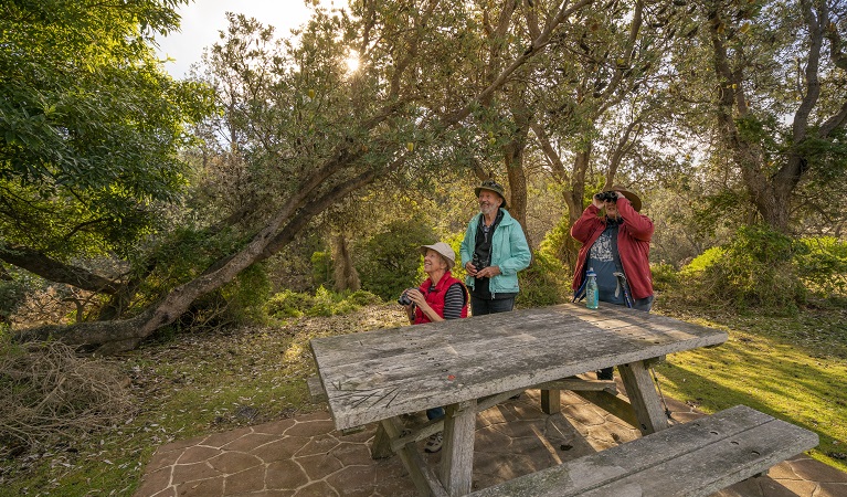 Some friends birdwatching at Haycock Point picnic area, Beowa National Park. Photo: John Spencer/OEH