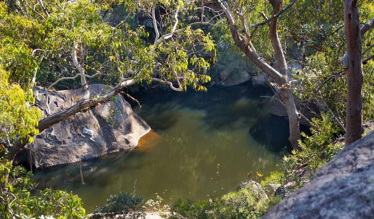 Jellybean Pool, Blue Mountains National Park. Phone: Steve Alton &copy; OEH