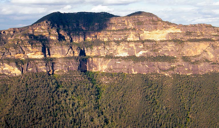 View of Mount Banks from Perrys Lookdown, in Blue Mountains National Park. Photo: Steve Alton © Steve Alton and DPIE