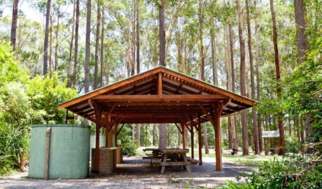 Bongil picnic area, Bongil Bongil National Park. Photo: Rob Cleary/OEH