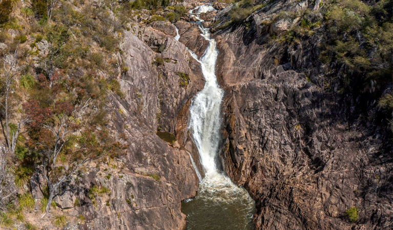 Boonoo Boonoo Falls are in Boonoo Boonoo National Park near Tenterfield. Photo: Joshua J Smith, © DCCEEW