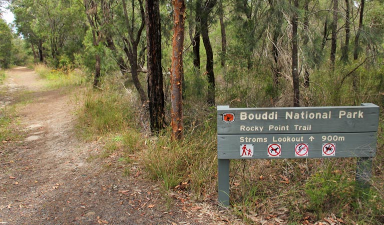 Rocky Point trail, Bouddi National Park. Photo: John Yurasek
