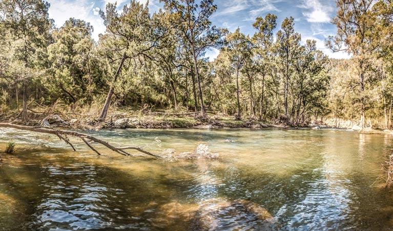 Flea Creek campground, Brindabella National Park. Photo: Murray van der Veer/NSW Government