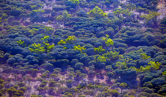 Brindingabba National Park, 175km from Bourke, is on Budjiti and Kurnu Baakandji Country. Photo: Joshua Smith © DCCEEW