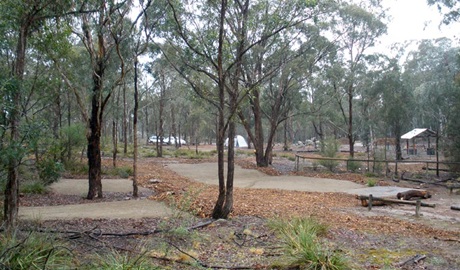 Bungonia Campground, Bungonia National Park. Photo: Audrey Kutzner/NSW Government