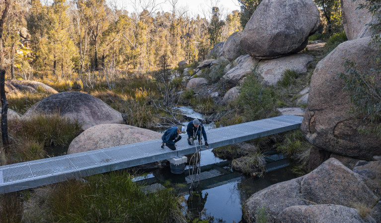 Warrigal walking track, Cathedral Rock National Park. Photo: Josh Smith &copy; DPE