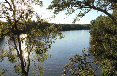 Cattai River lookout, Cattai National Park. Photo: John Yurasek