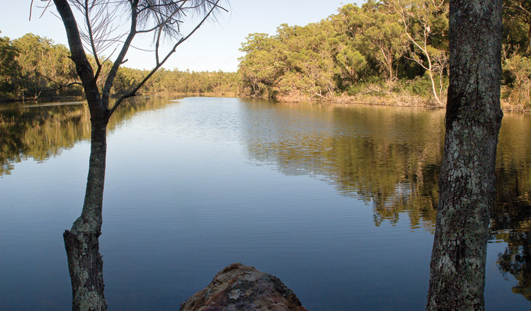 Creek reflection, Conjola National Park. Photo Michael Van Ewijk &copy; OEH