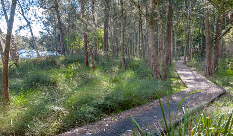 Anabranch Loop Track, Corramy Regional Park. Photo: Michael van Ewijk &copy; OEH