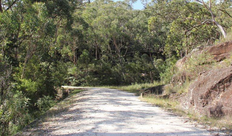 Devine Hills walking track, Dharug National Park. Photo: John Yurasek &copy; DPIE