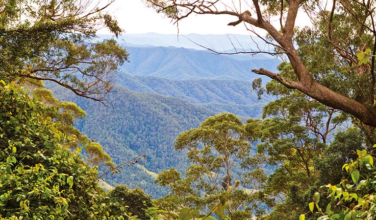 Scenic views, Dunggir National Park. Photo: Robert Cleary &copy; DPIE