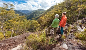 Duffer Creek walk, Gibraltar Range National Park. Photo: Robert Cleary © DPIE