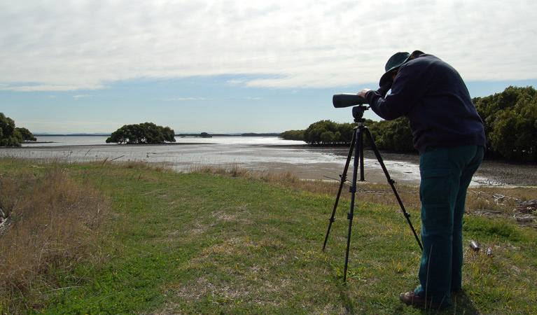 Stockton sandspit, Hunter Wetlands National Park. Photo: Susan Davis