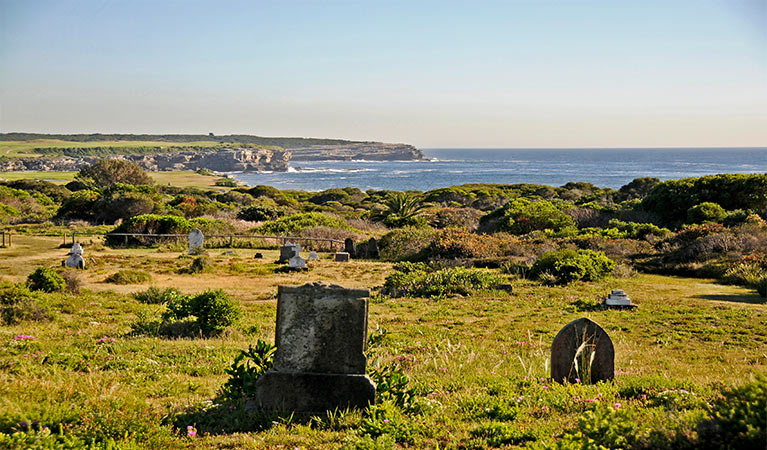 Historic gravestones dot flowering coastal heath, with ocean in the background.  Photo: Kevin McGrath &copy; OEH