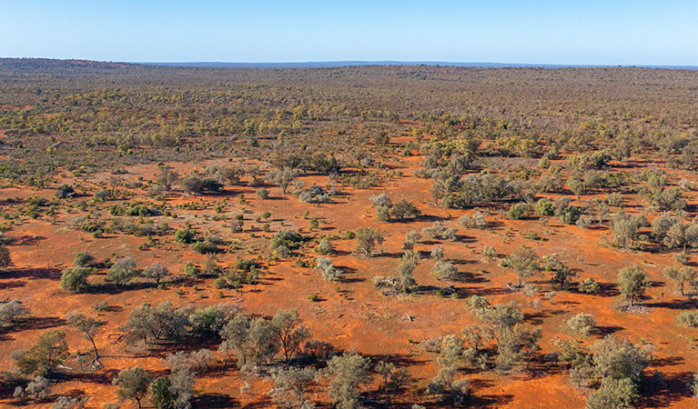 Aerial view of Koonaburra National Park. Photo: Joshua Smith © DPE