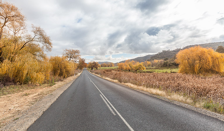 Khancoban to Kiandra drive, Kosciuszko National Park. Photo: Murray Vanderveer