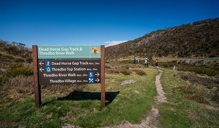4 people walking past directional signage on Dead Horse Gap walking track and Thredbo River track in Kosciusko National Park. Photo: Robert Mulally