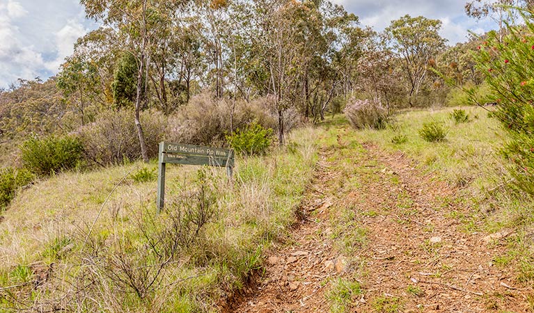 Old Mountain Road walking track, Kosciuszko National Park. Photo: Murray Vanderveer &copy; OEH