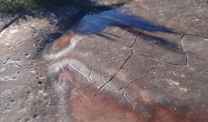 Basin Aboriginal Art site, Ku-ring-gai Chase National Park. Photo © Andrew Richards