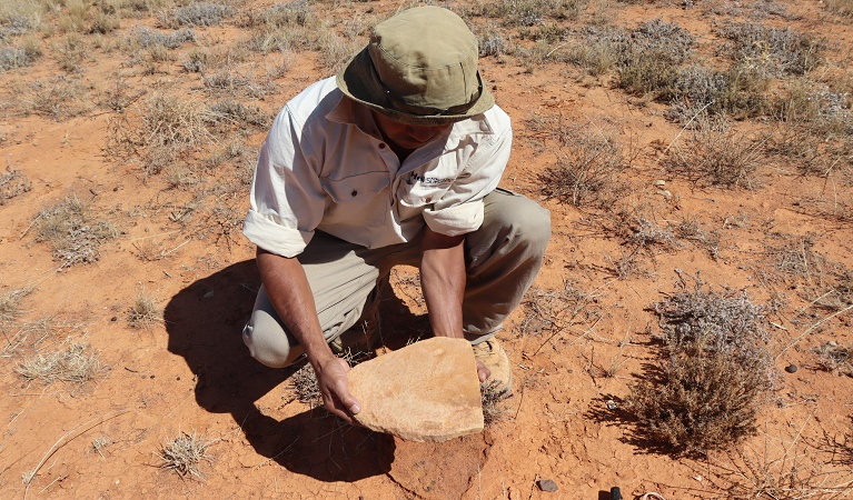 Alfred Fazldeen undertaking Aboriginal cultural heritage assessments on Langidoon-Metford State Conservation Area. Photo © Warlpa Thompson