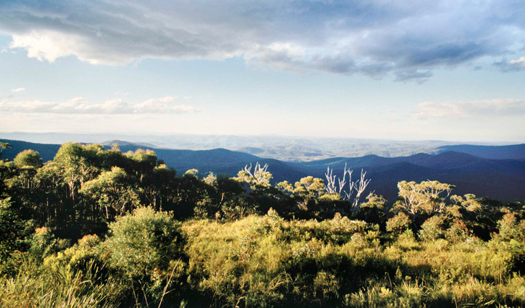 Vista Point picnic area, Mount Hyland Nature Reserve. Photo: Tony Karacsonyi