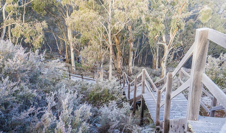 Timber walkway leading to Mount Kaputar Summit lookout. Photo: Simone Cottrell/OEH