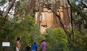 Sawn Rocks, Mount Kaputar National Park. Photo &copy; Ian Brown