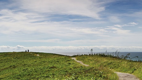 Walking track, Muttonbird Island Nature Reserve. Photo &copy; Rob Cleary