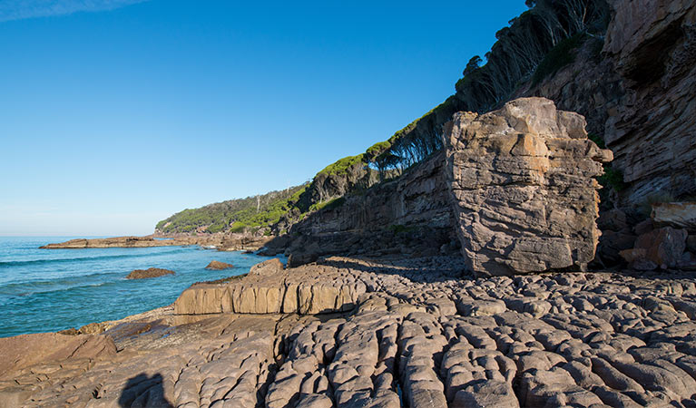 Greenglade, Nadgee Nature Reserve. Photo: J Spencer/OEH.