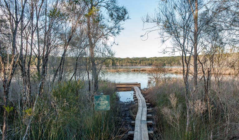 Narrawallee National Park. Photo: Michael van Ewijk &copy; DPIE