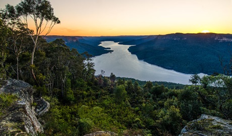 World Heritage Drive, Nattai National Park. Photo: John Spencer © DPIE
