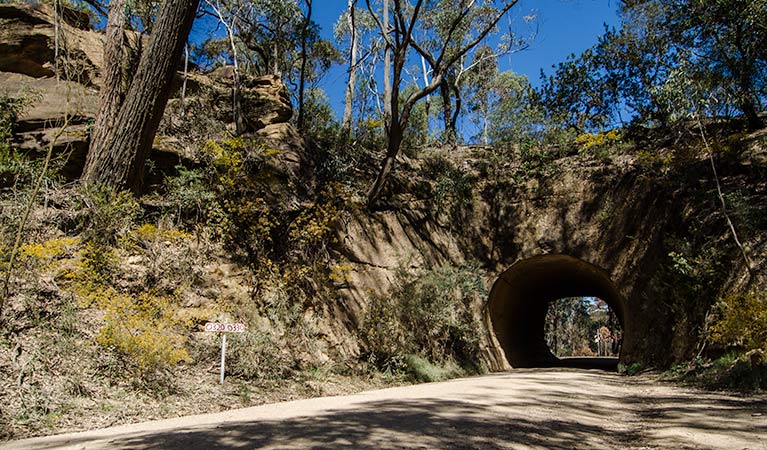 World Heritage Drive, Nattai National Park. Photo: John Spencer &copy; DPIE