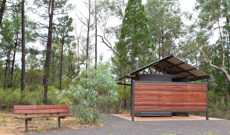 Sculpture in the Scrub campground, Timmallallie National Park. Photo: Rob Cleary/DPIE