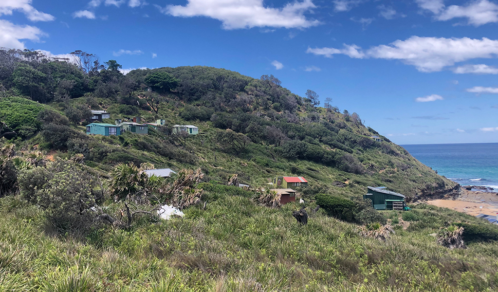 Small timber beach shacks tucked into the hillside at Burning Palms beach. Photo: Natasha Webb