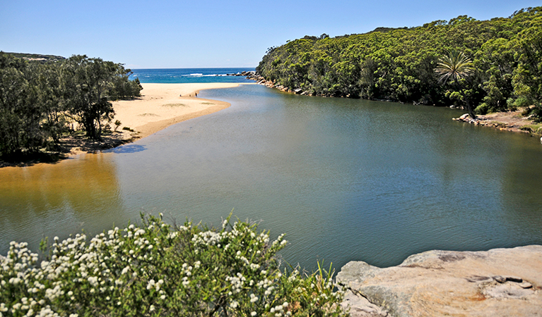 Views over Wattamolla lagoon and beach in Royal National Park. Photo: K.McGrath/DPIE